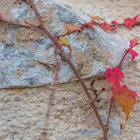 Villa Garica Villa Garica